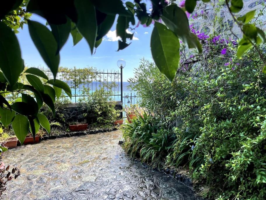 Ocean View Villa With Fast Wi-Fi And Elevator To Town Levanto Exterior photo